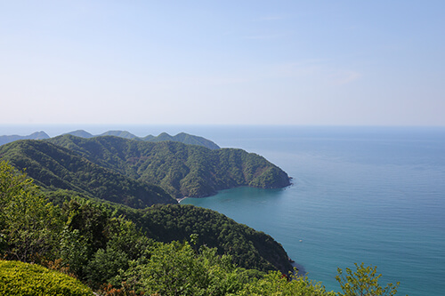 コンプライアンスホットライン